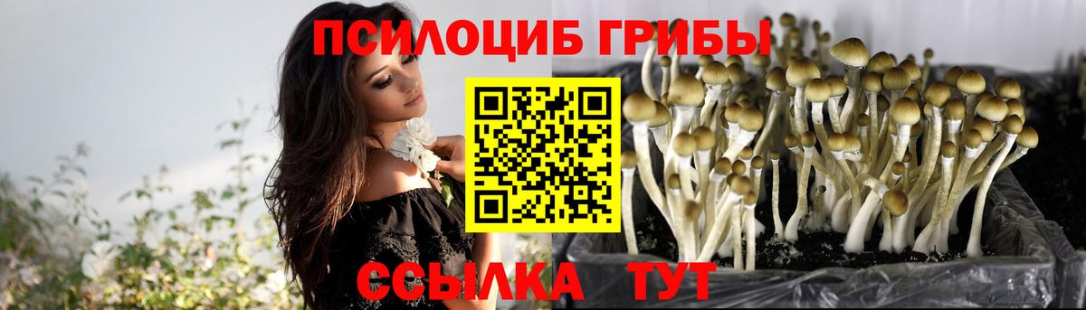 Псилоцибиновые грибы MAGIC MUSHROOMS  Галлюциногенные грибы мицелий  Советский  Вход с VPN 